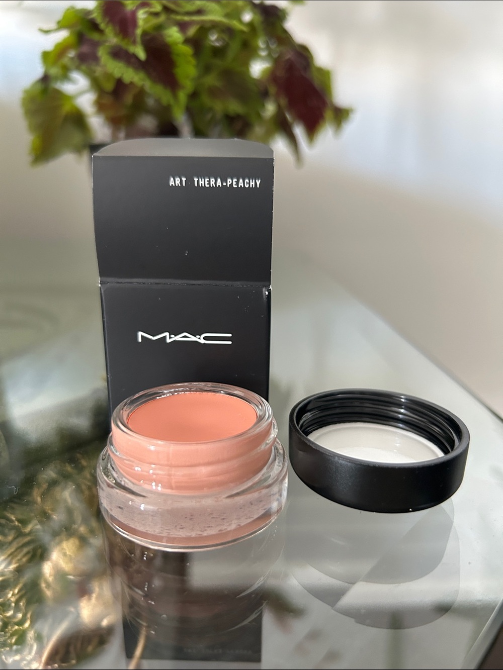 MAC Pro Longwear Paint Pot in Art Thera-Peachy